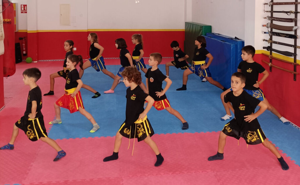 Clases Colectivas Artes Marciales